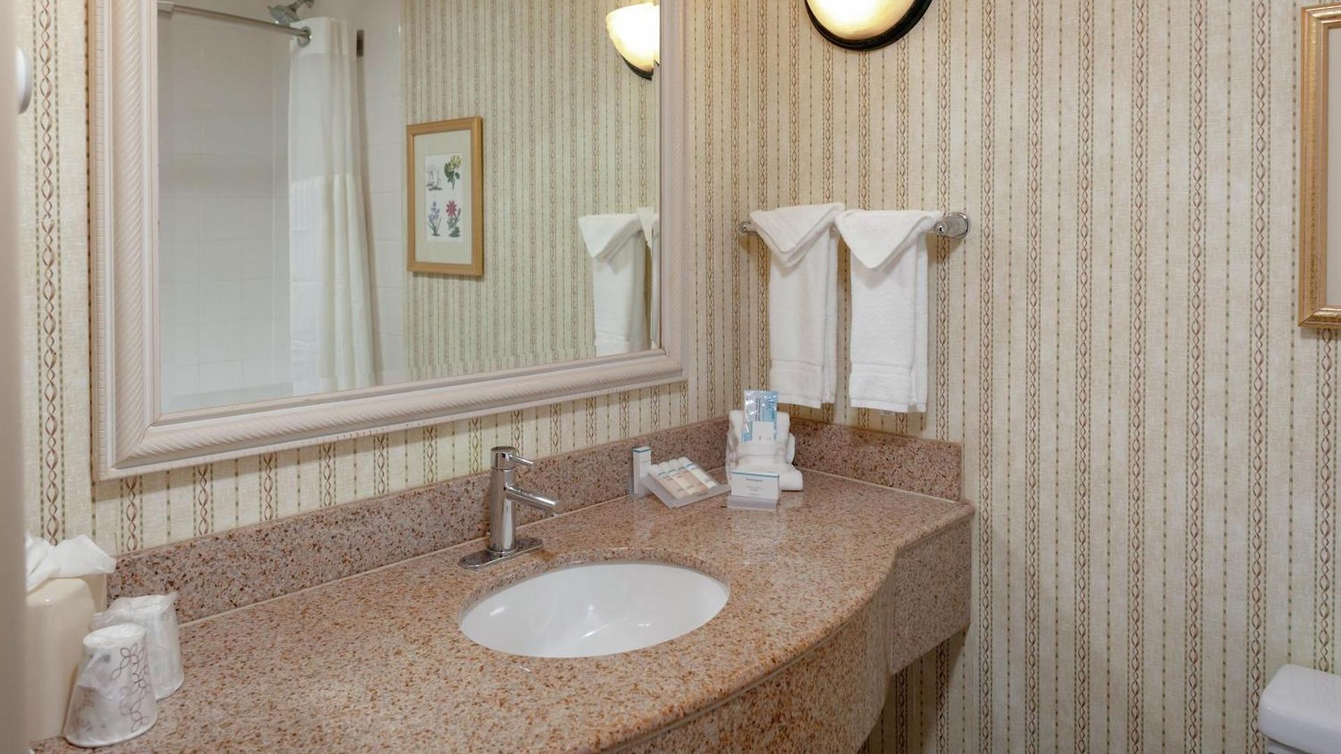 Hotel Hilton Garden North 3*