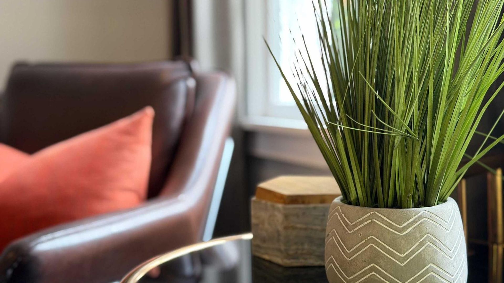 Comfortable And Stylish Near Myers Park * Charlotte