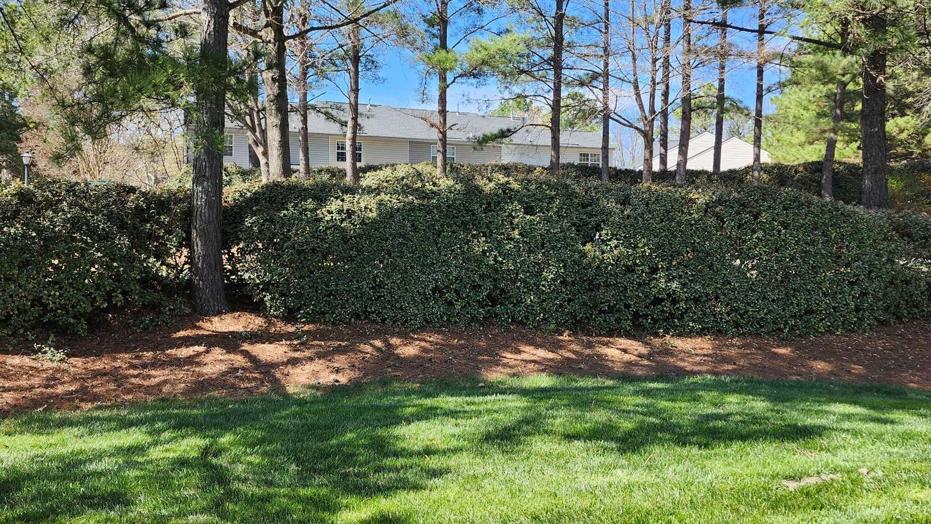 Gathering Place 1 Apartment Charlotte