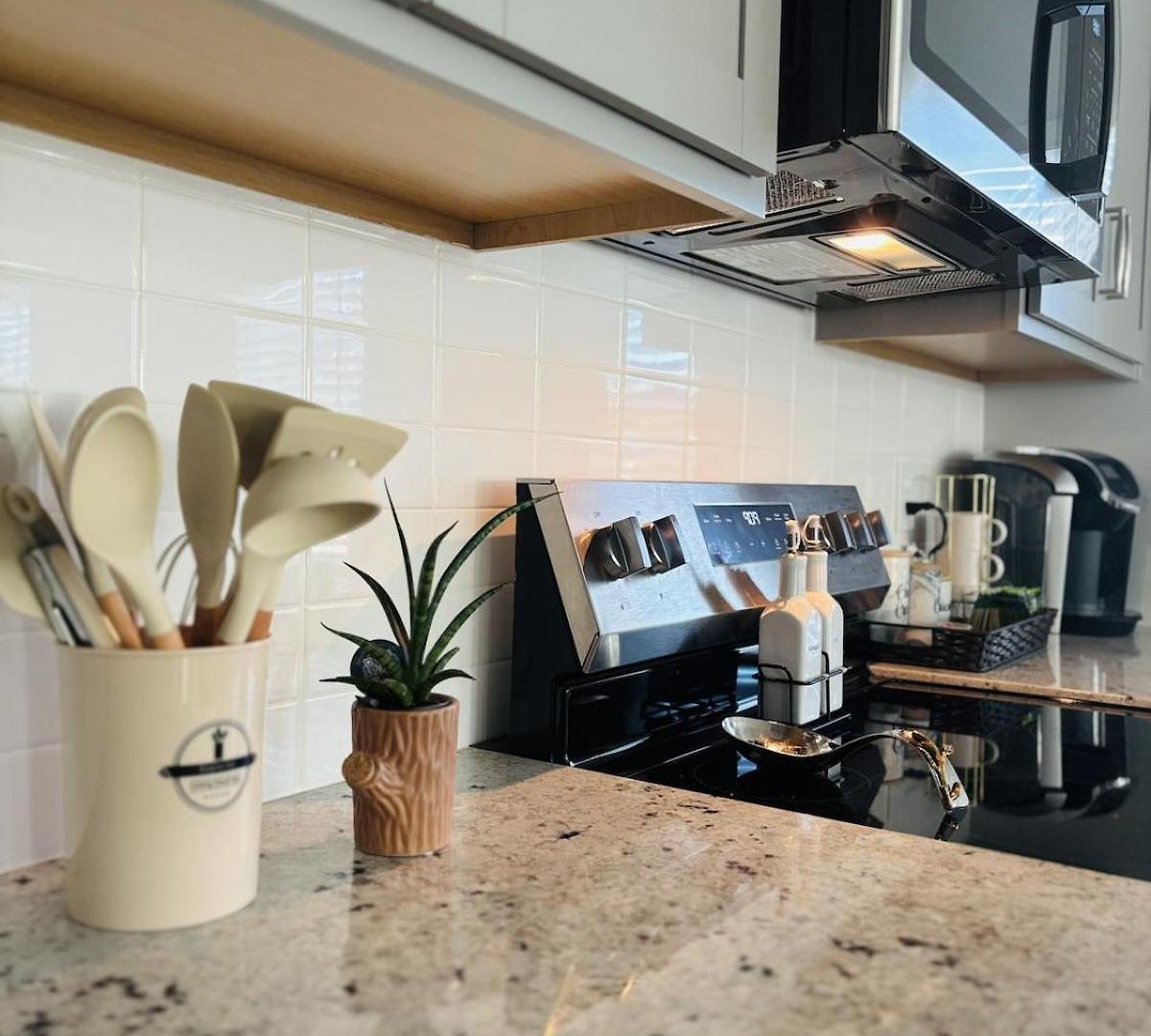 Sloan Garden House Modern Townhome Near South End *