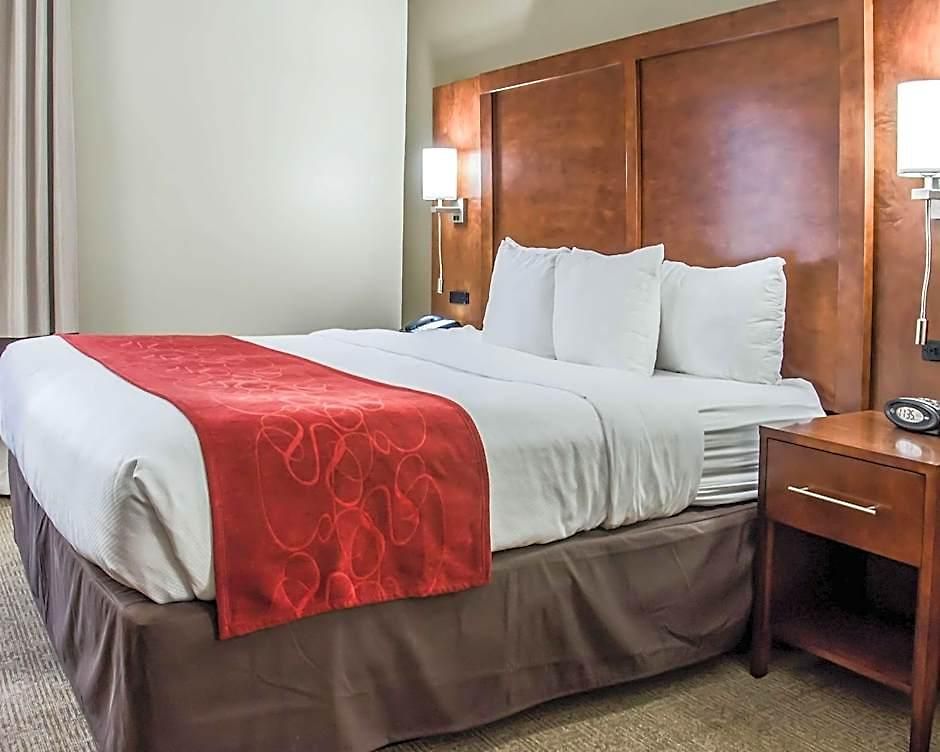 Hotel Comfort - Research Park Charlotte