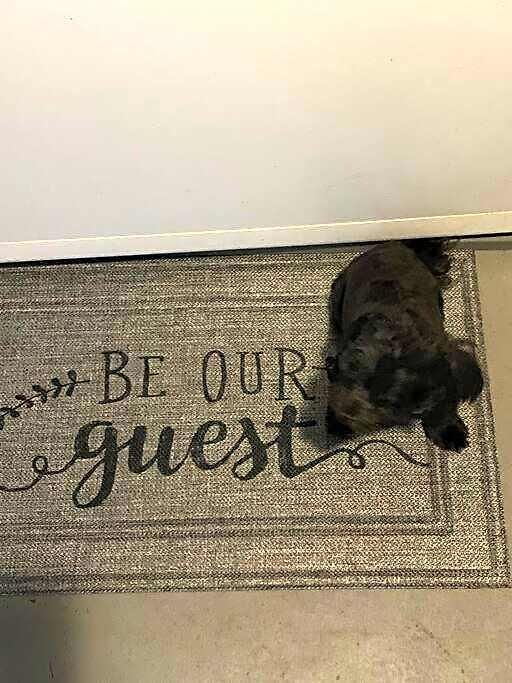 Be Our Guest Boho 2.0 Apartment *