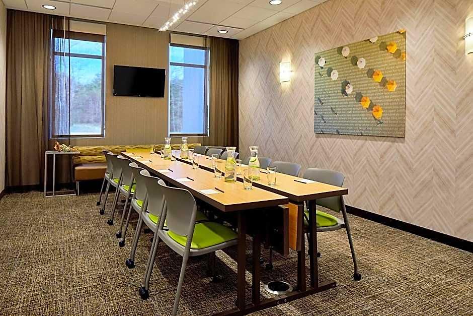 Hotel Springhill By Marriott At Carowinds 3*
