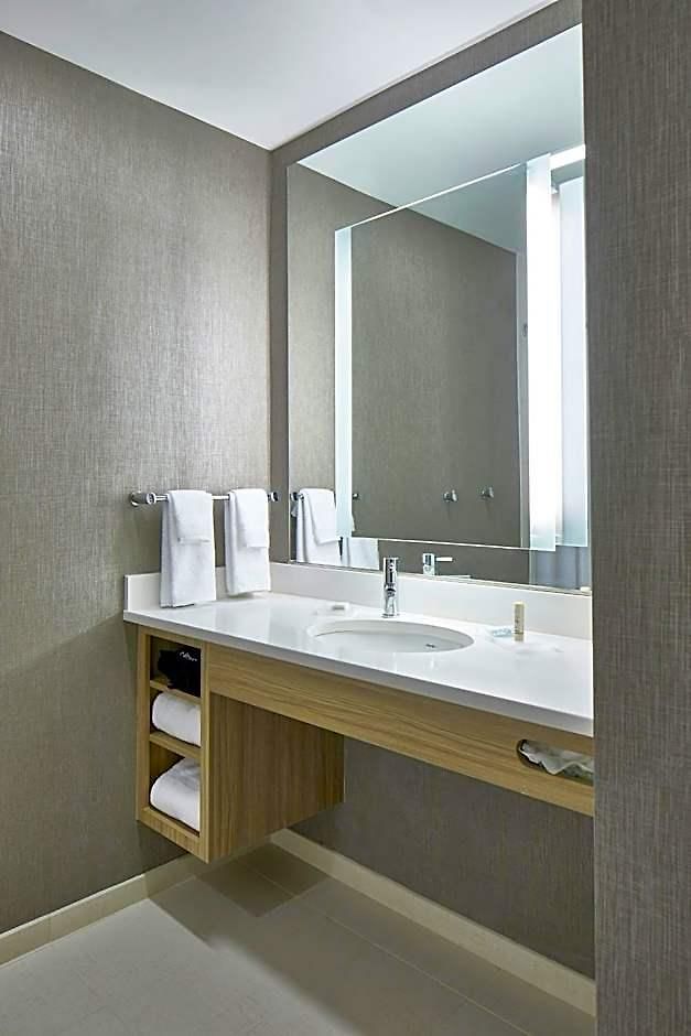 Hotel Springhill By Marriott At Carowinds 3*