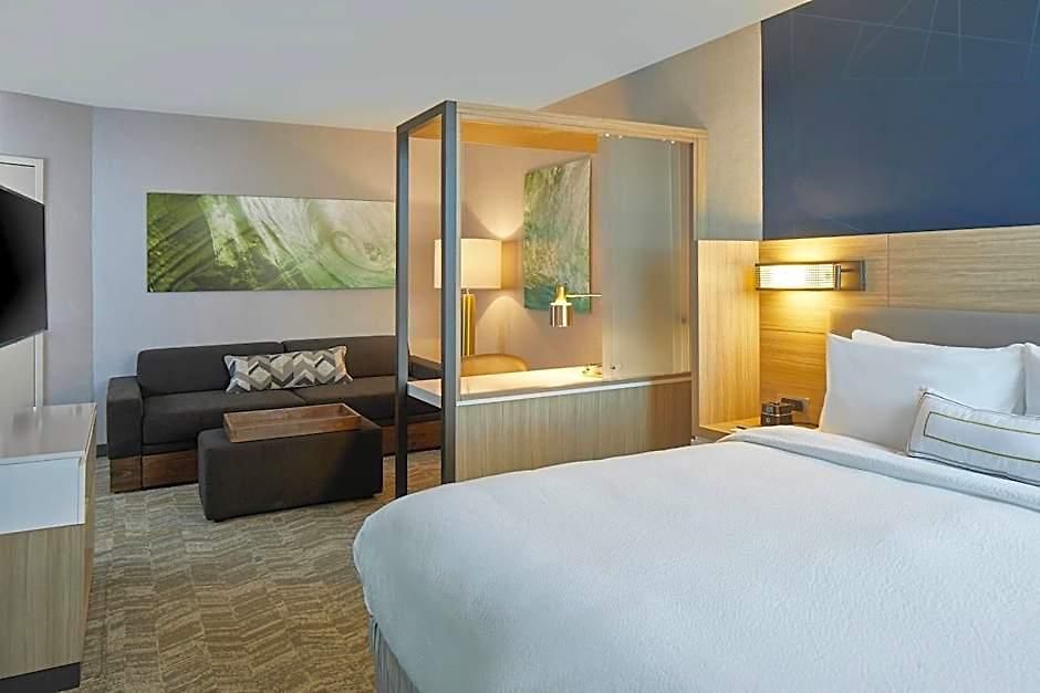 Hotel Springhill By Marriott At Carowinds
