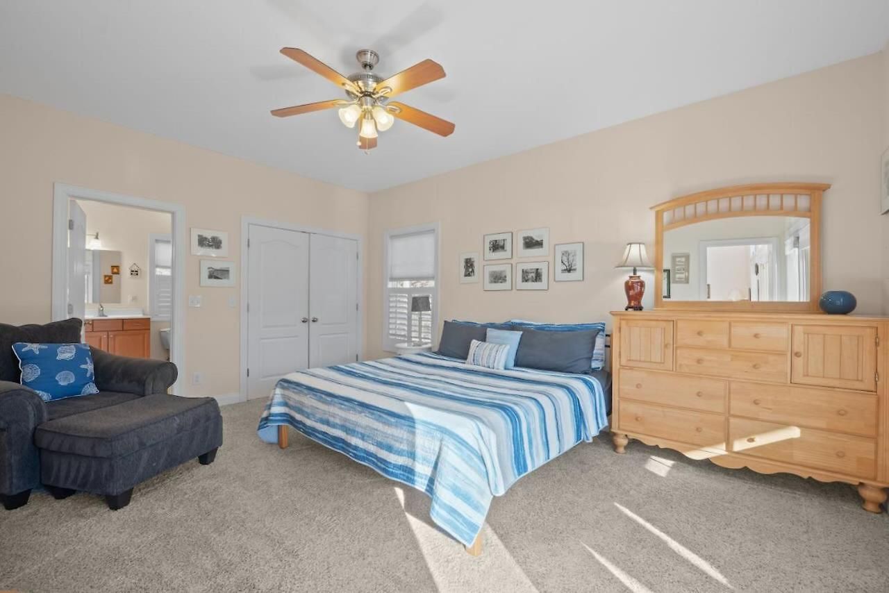 Cozy Cove Flying Squirrel Charlotte
