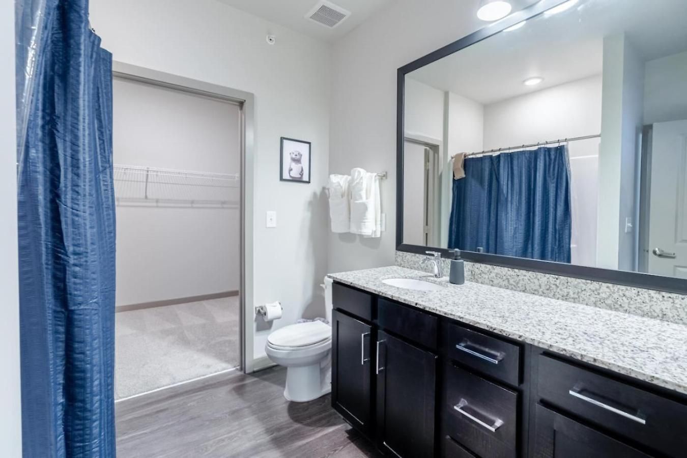 Apartment Super 1bd Workers Paradise Charlotte