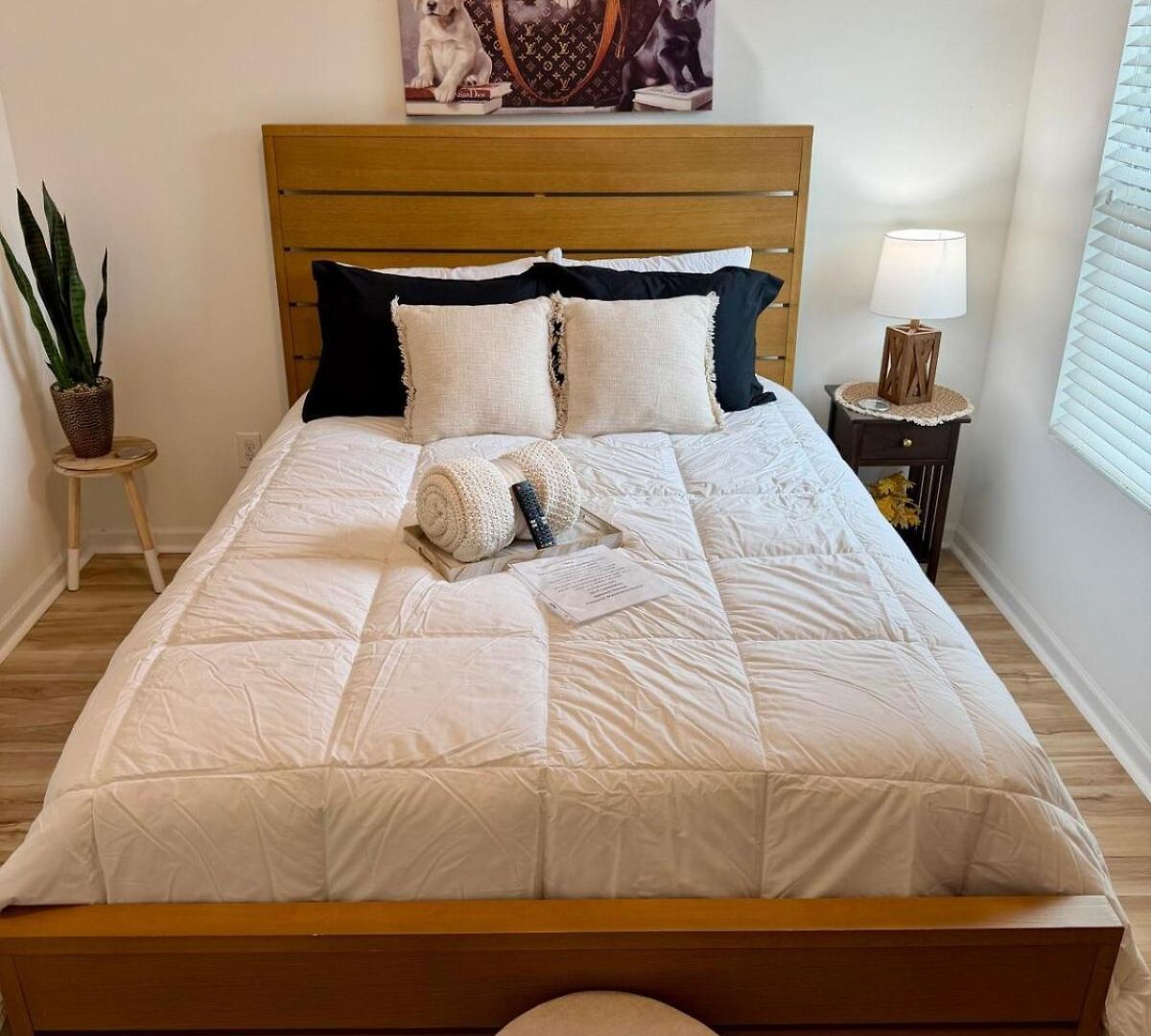 Apartment Modern South Townhome Near Carowinds *