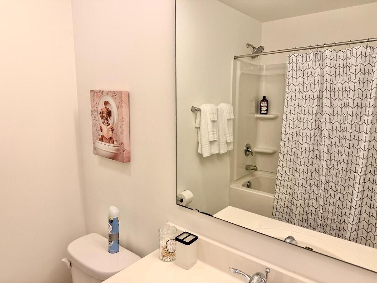 Modern South Townhome Near Carowinds Apartment *