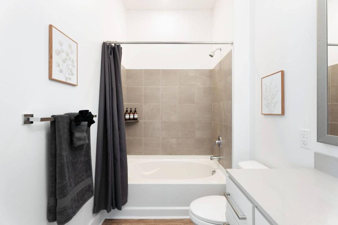 Cozy Carolina - Free Parking, Gym, Pool Apartment