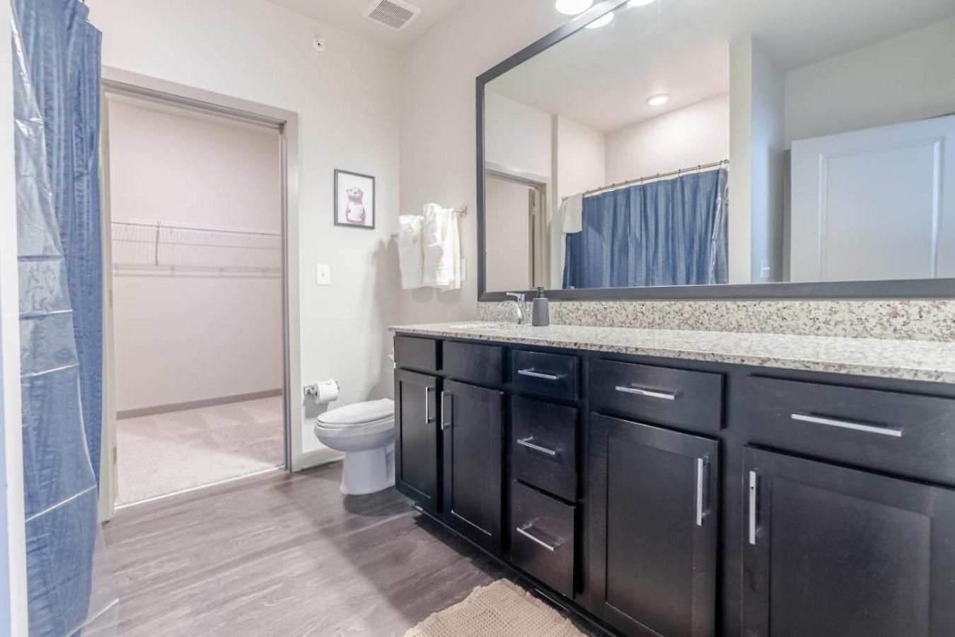 Apartment Super 1bd Workers Paradise Charlotte
