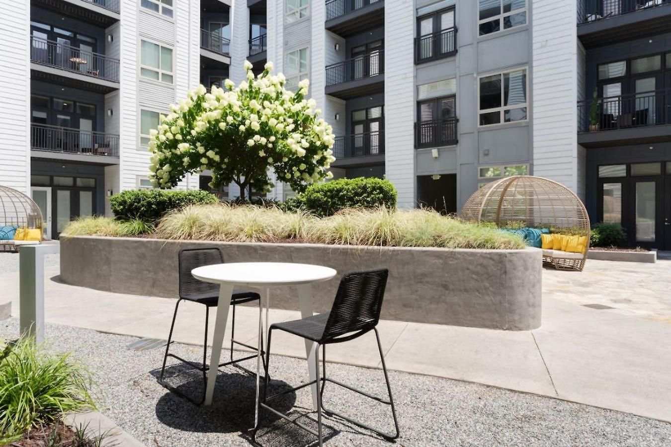 Cozy Carolina - Free Parking, Gym, Pool Charlotte
