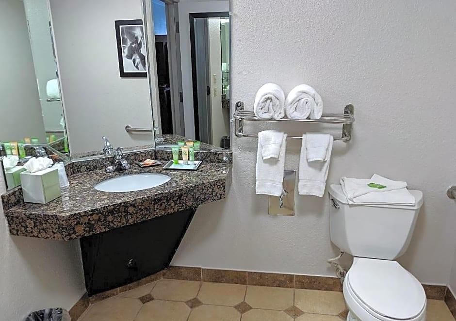 Wyndham Garden Airport Southeast Hotel 3*