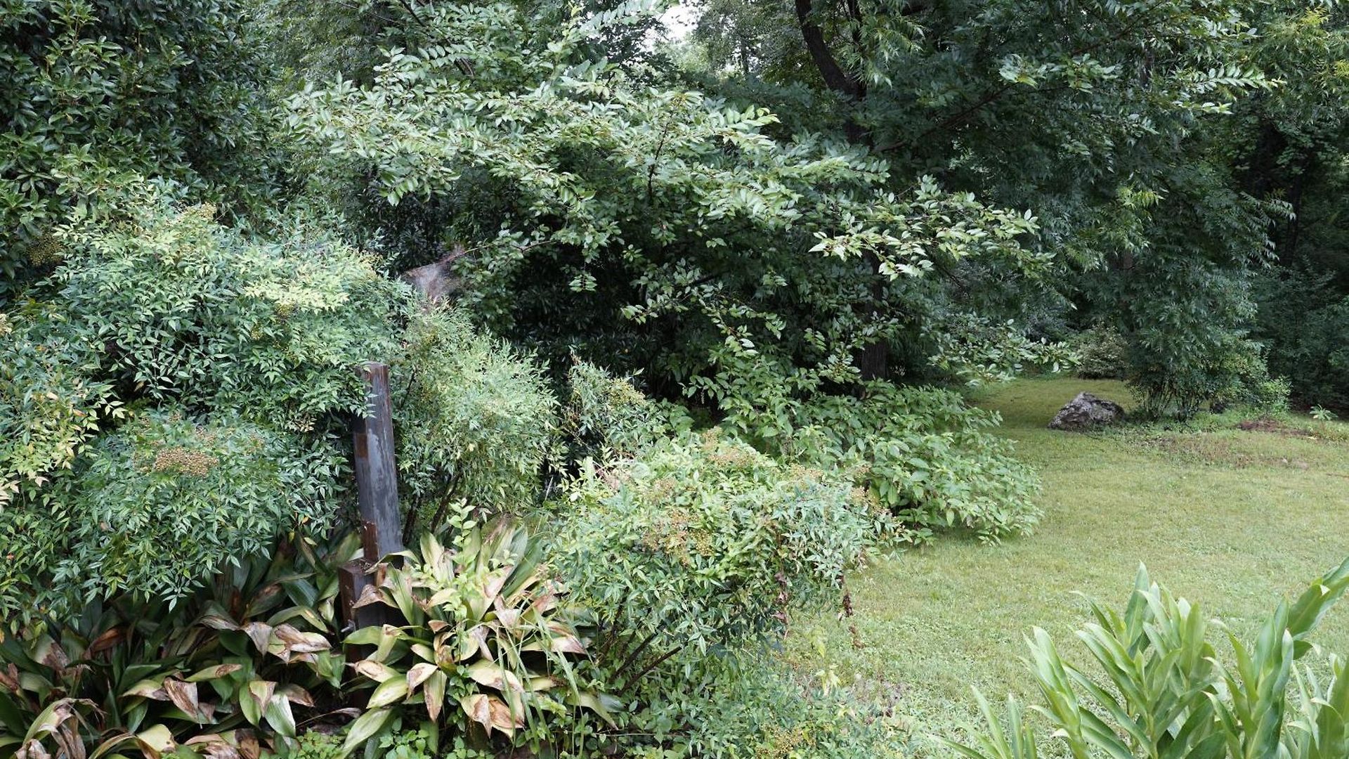 3 Bed, Luxury Bungalow, With Mature Garden, Minutes From Uptown Holiday home Charlotte
