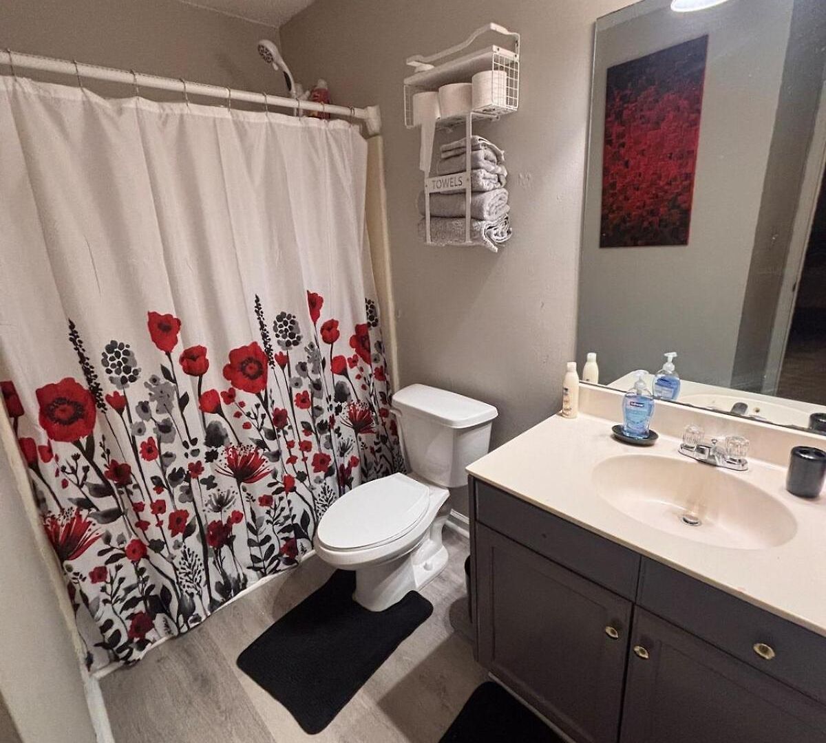 Holiday home Near Uptown-sleep 6-nfl Game Day Getaway Charlotte