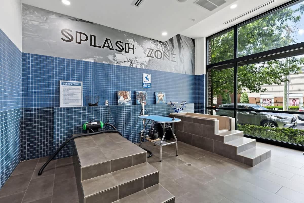 Near Dt Cpcc Lynx With Pool Gym Wd Parking Apartment Charlotte