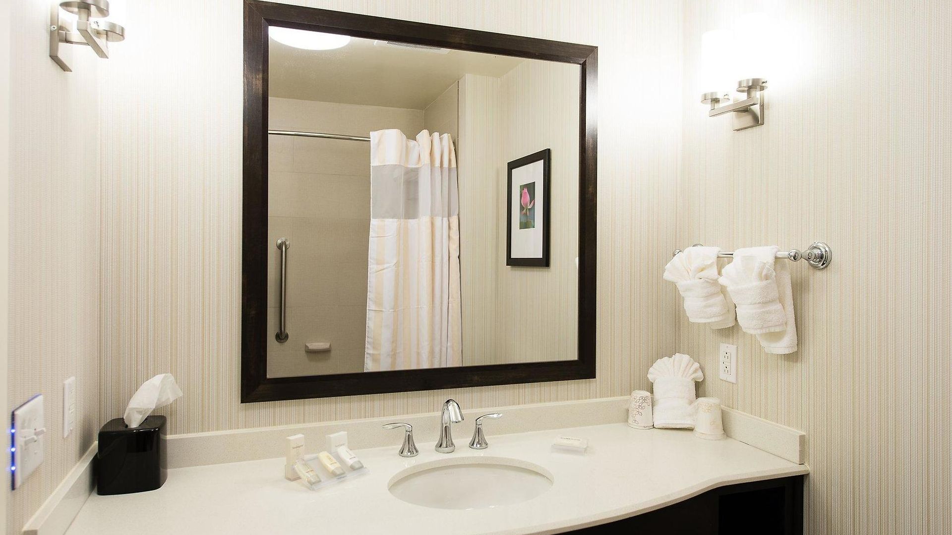 Hilton Garden Airport 3* Charlotte