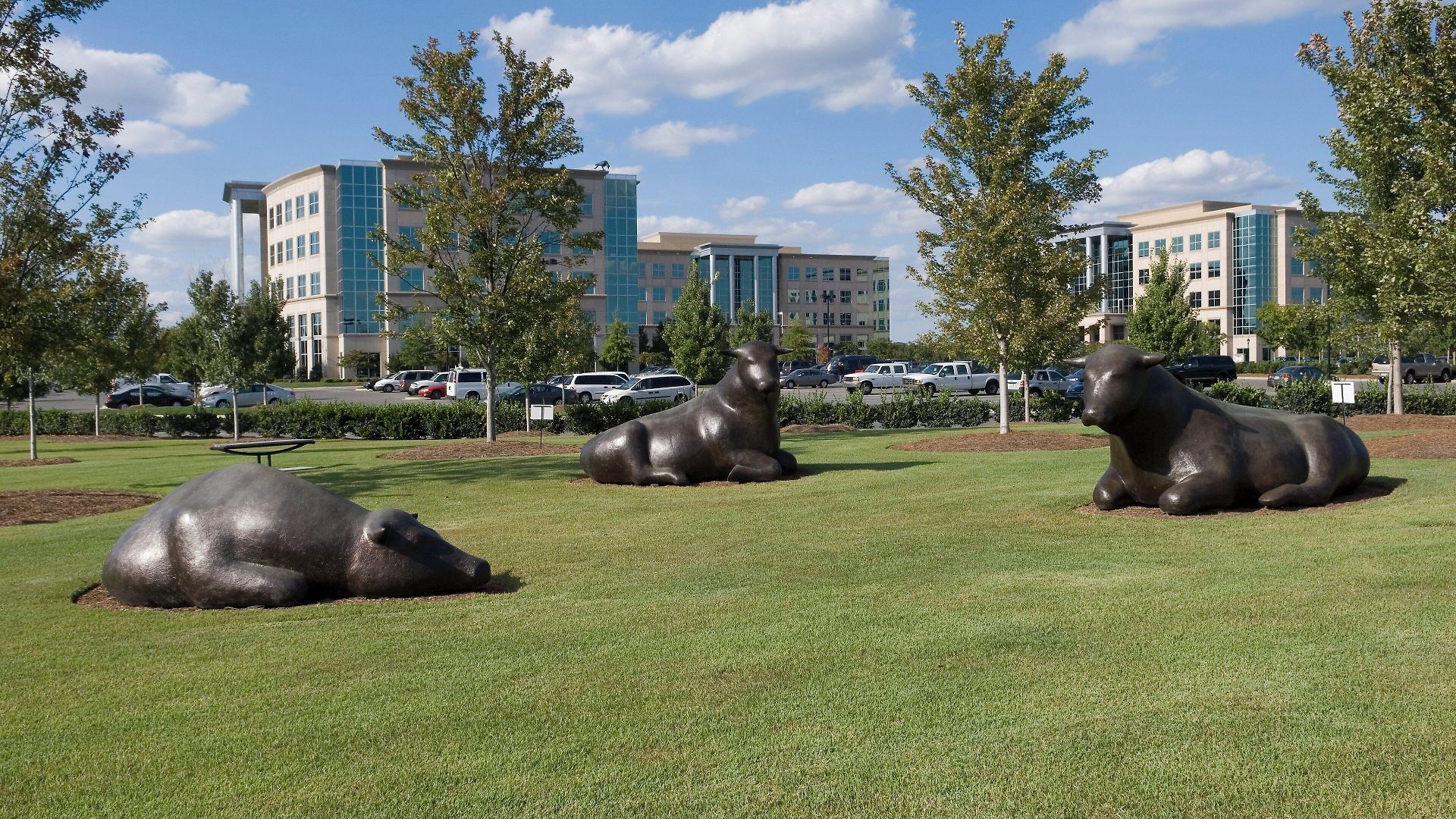 Staybridge - Ballantyne By Ihg Hotel Charlotte