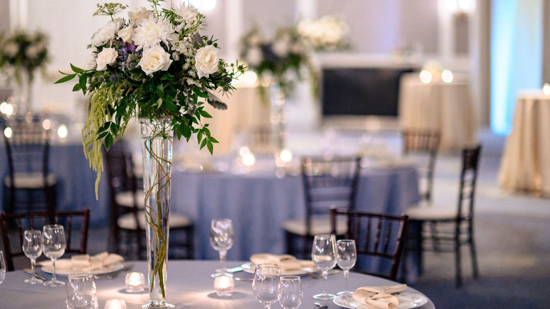 Resort The Ballantyne, A Luxury Collection Hotel,