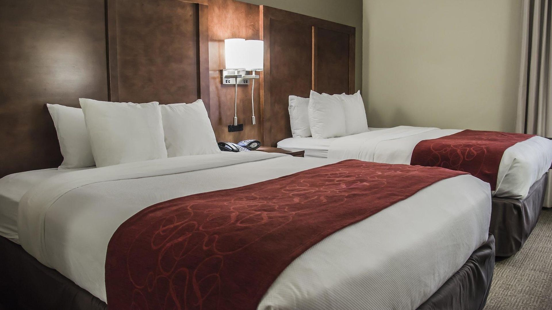 Comfort - Research Park Charlotte
