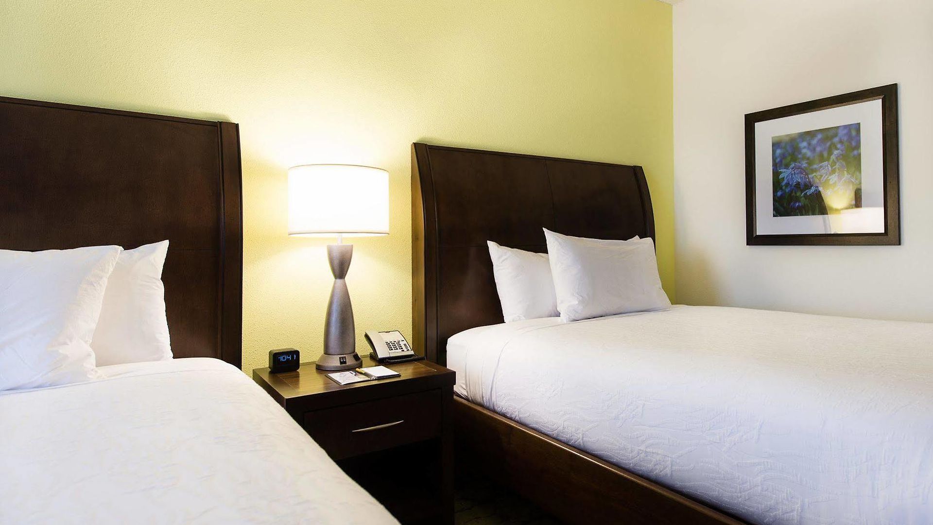 Hilton Garden Airport 3* Charlotte