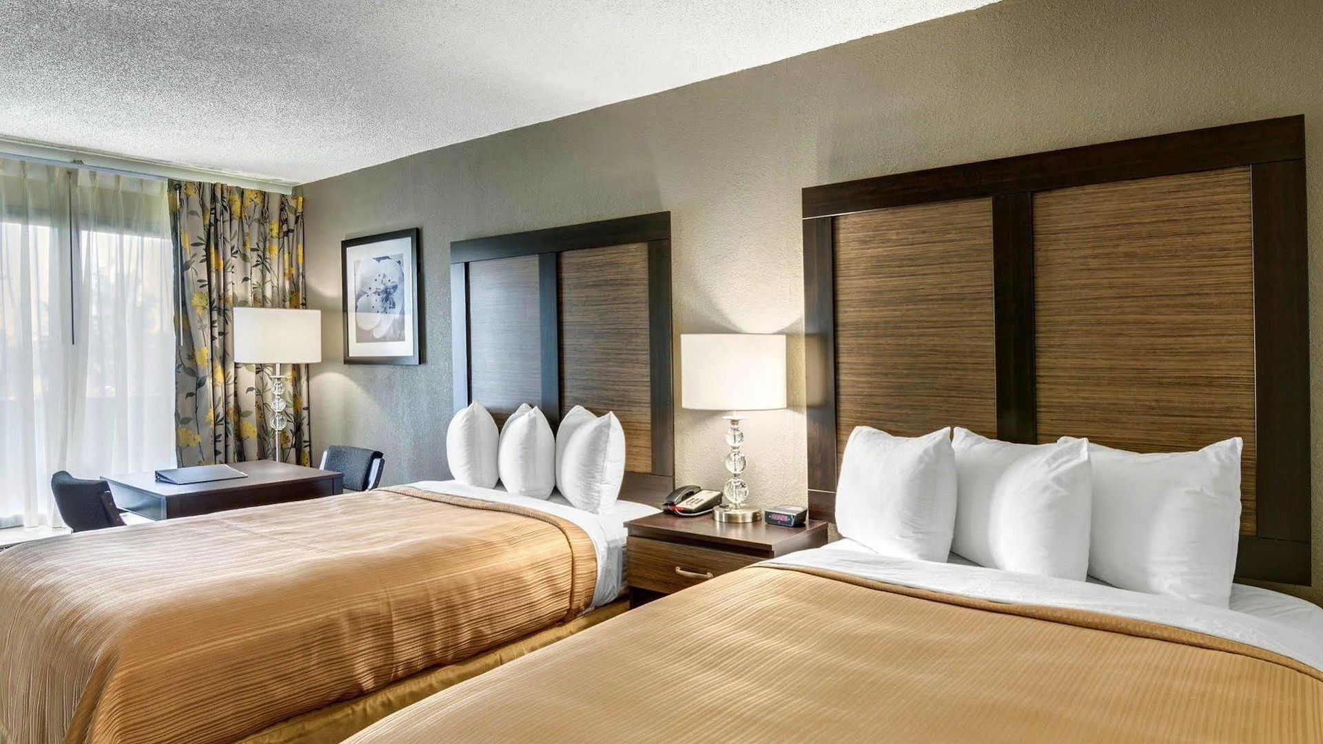6 Charlotte, Nc - Airport South Hotel