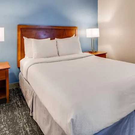 Surestay By Western Executive Park Charlotte