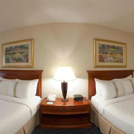 Hotel Airport By Ihg 3*
