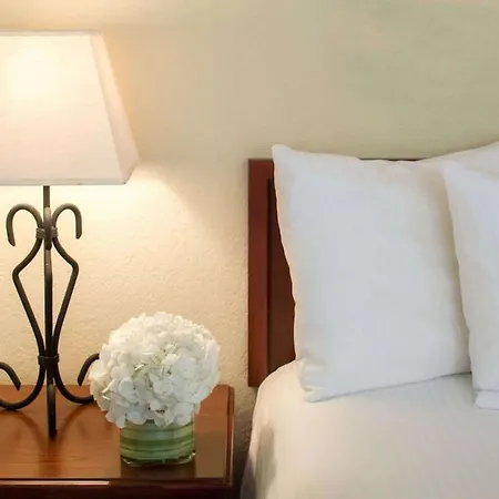 Surestay By Western Executive Park 3* Charlotte