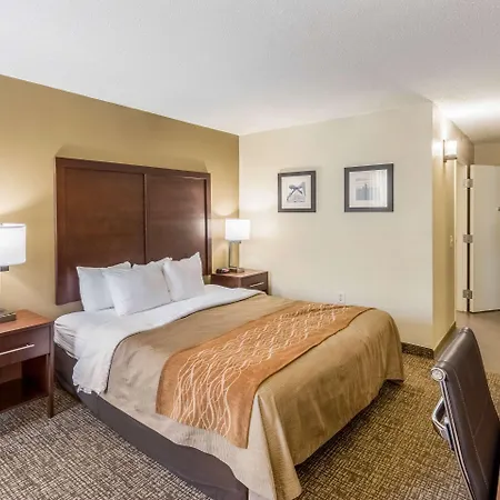 Comfort Airport Uptown Inn