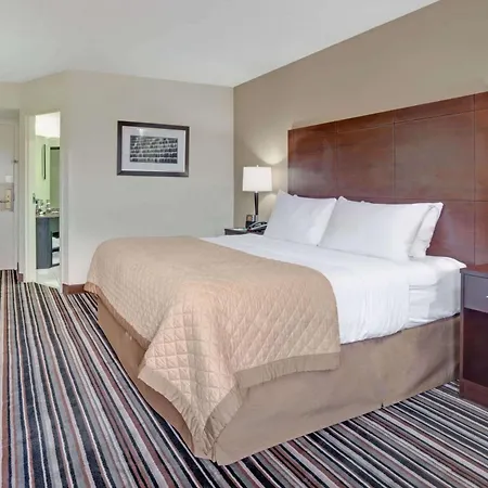 Wyndham Garden Airport Southeast Hotel