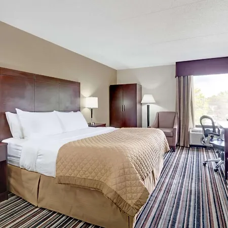 Hotel Wyndham Garden Airport Southeast