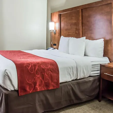 Comfort - Research Park Charlotte