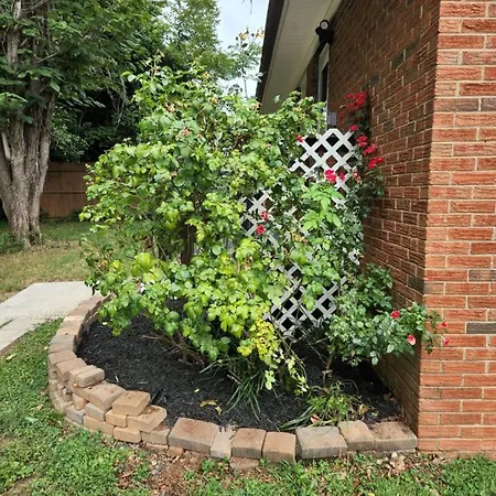 2br 1ba Duplex House King Beds Great For Small Groups Close To Uptown Attractions Apartment Charlotte