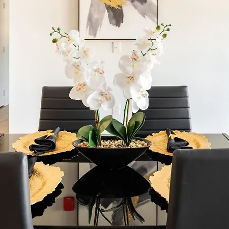 Apartment Luxurious & Comfy Downtown Oasis ~ Views ~ Parking Charlotte