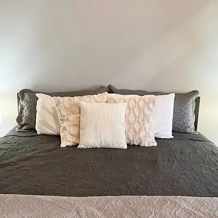In Plaza Midwood- Fast Wifi-king Bed Apartment *