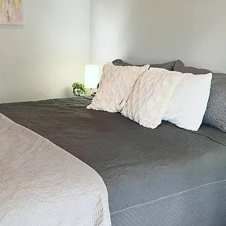 In Plaza Midwood- Fast Wifi-king Bed Apartment *