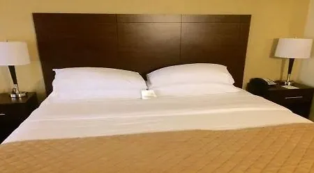 Wyndham Garden Airport Southeast 3*
