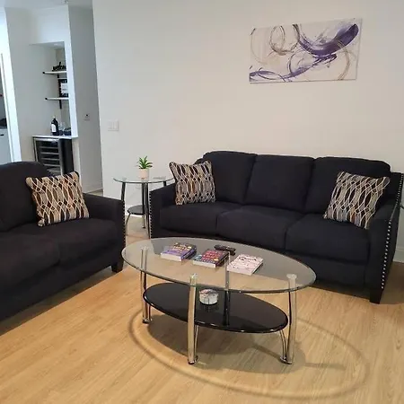 South Charlotte's Cozy & Modern