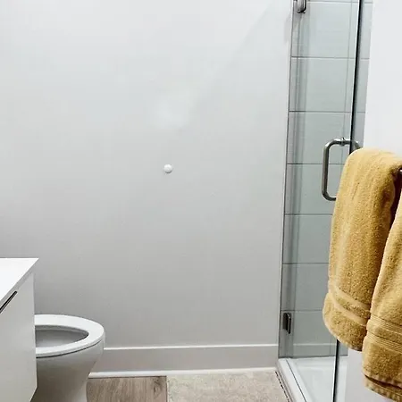 Apartment, Queen Bed, Wifi, Kitchen, Washer & Dryer In Apartment Charlotte