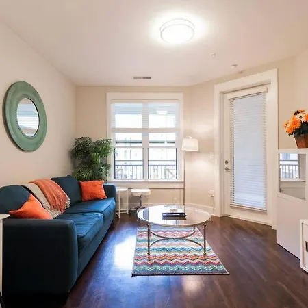Luxury Dilworth 1br ◉ Near Food, Shops & Greenway Apartment Charlotte