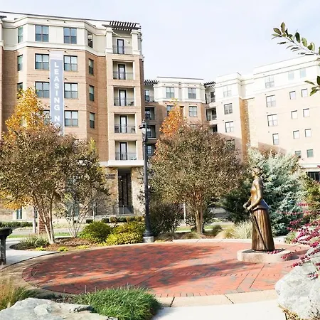 Luxury Dilworth 1br ◉ Near Food, Shops & Greenway * Charlotte