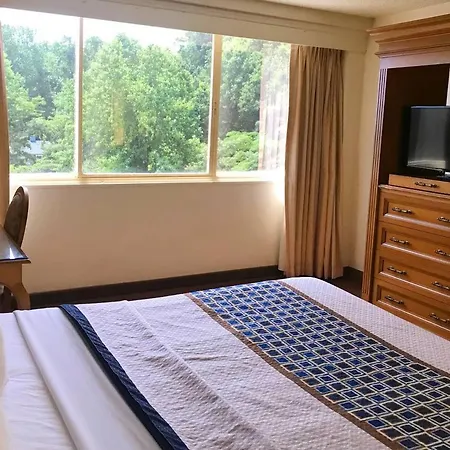 Golden Hotel, Hotel