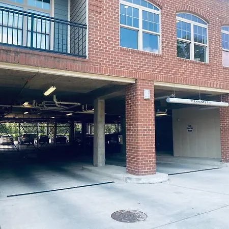 Dt Charm With Pool,gym,wine,wkspace, Free Parking Apartment