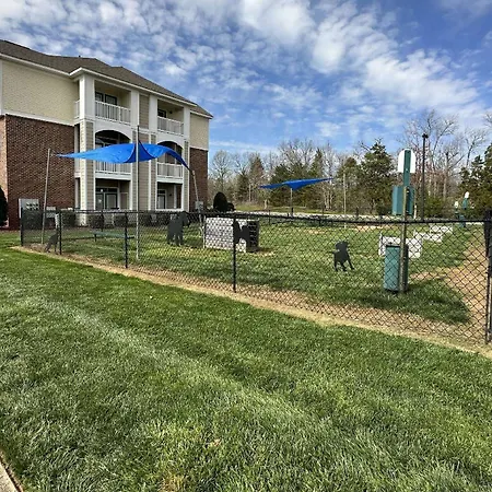 New Listing! Now And Zen Holiday home