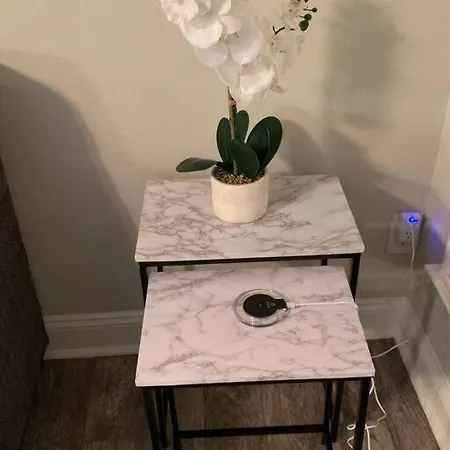 Good Vibe In The Heart Of Plaza/midwood Area Apartment Charlotte