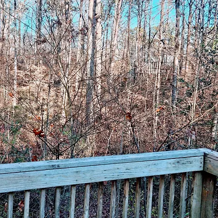 Da.luxe Mtn Island Area On 1.56 Acres Holiday home *