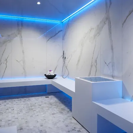 Hotel The Ritz-carlton,
