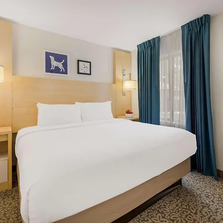Sonesta Es Arrowood Hotel Charlotte