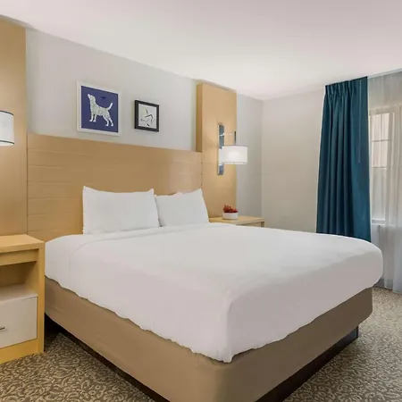 Hotel Sonesta Es Arrowood Charlotte